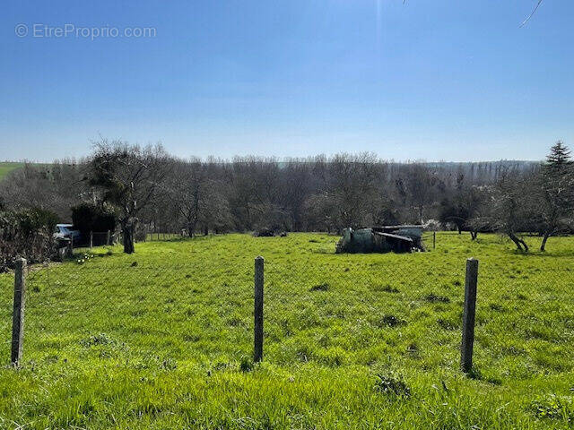 Photo 1 - Terrain à LA FERTE-GAUCHER