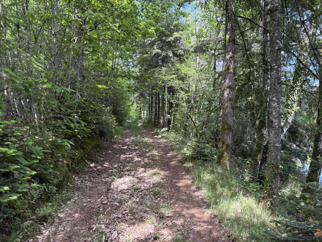 Proche Saint Yrieix La Perche - photo 8