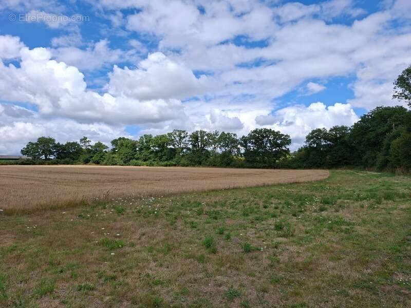 Longère rénovée en 6 pièces,128m2 plancher, double garage,au calme, impasse, au milieu des champs, proche Villaines la Juhel et  - photo 2