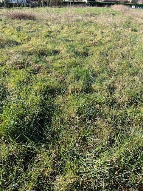 Terrain à MIGNE-AUXANCES