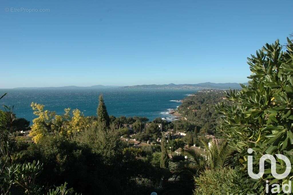 Photo 8 - Appartement à SAINT-RAPHAEL