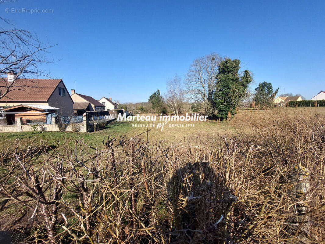 Terrain à PARIGNE-L&#039;EVEQUE