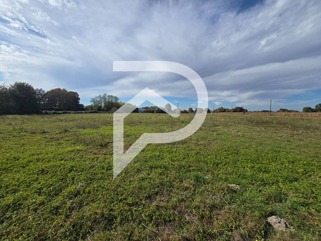 Terrain à HAGETAUBIN