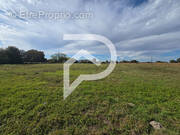 Terrain à HAGETAUBIN