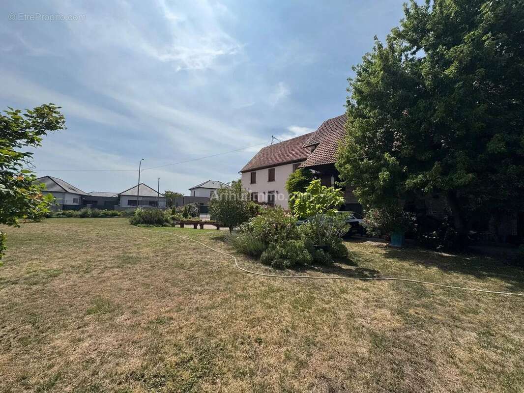 Vente Maison Hessenheim(67390) 386 900ï¿œ - photo 3