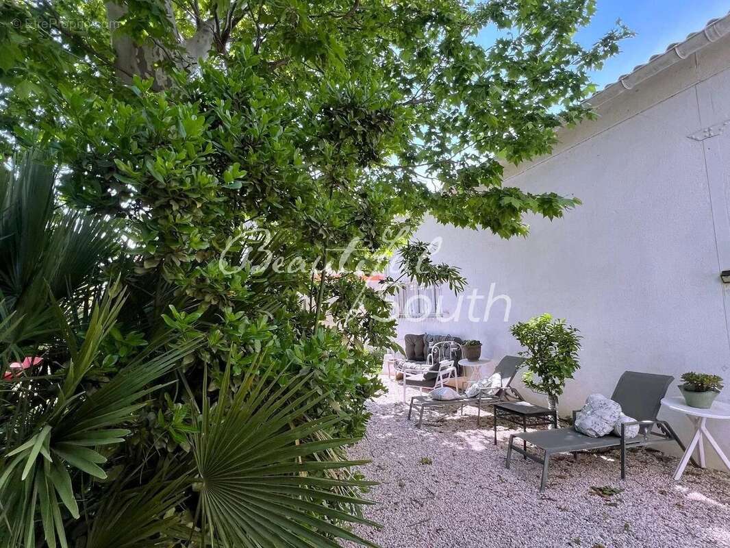 Maison de maître avec dependance, parc et piscine, proche perpignan - photo 28