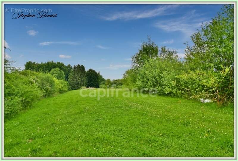 Terrain à BOULT-AUX-BOIS