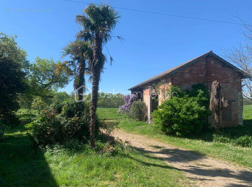 Proche Eauze - Propriété de 13ha en BIO - photo 3