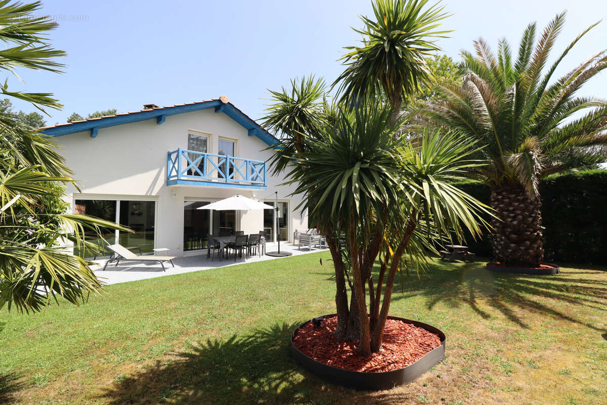 Maison anglet saint jean avec beau jardin et garage - photo 2