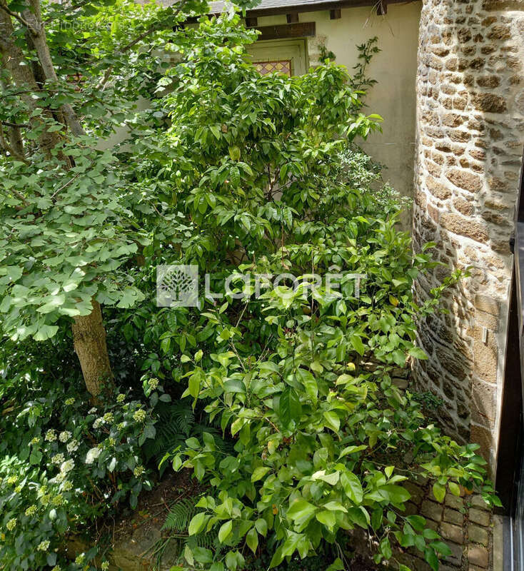 Manoir au coeur du centre ville - photo 13