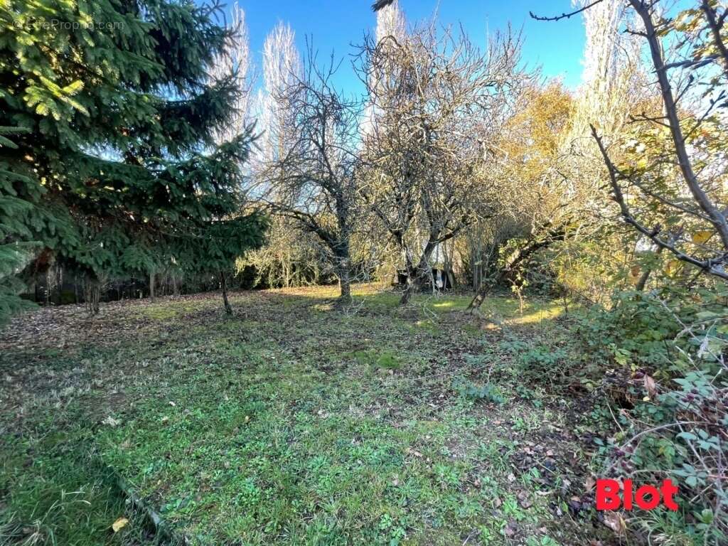 Maison à BAIN-DE-BRETAGNE