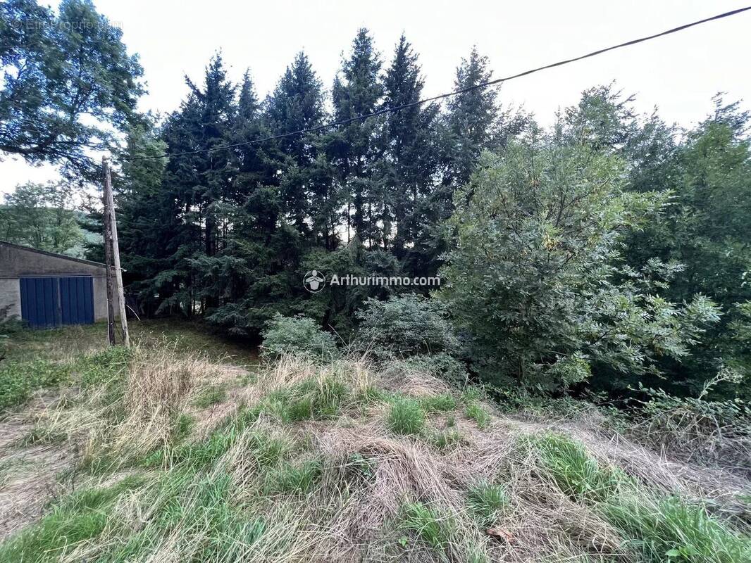 Terrain à SAINT-JEAN-DU-BRUEL