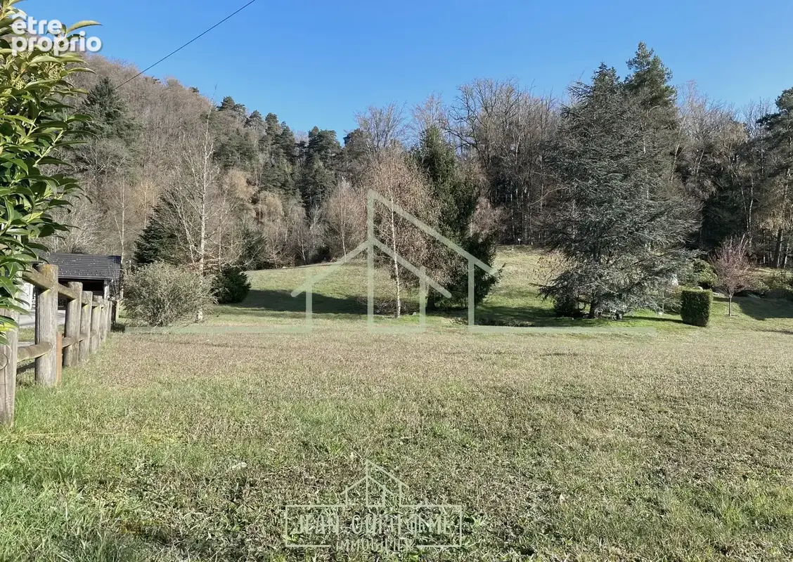 Terrain constructible - Saint-Nabord - 1534 m2 - photo 3