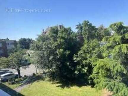 Appartement - photo 7