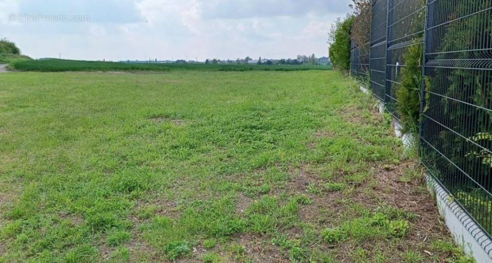 Terrain à CAMBRAI