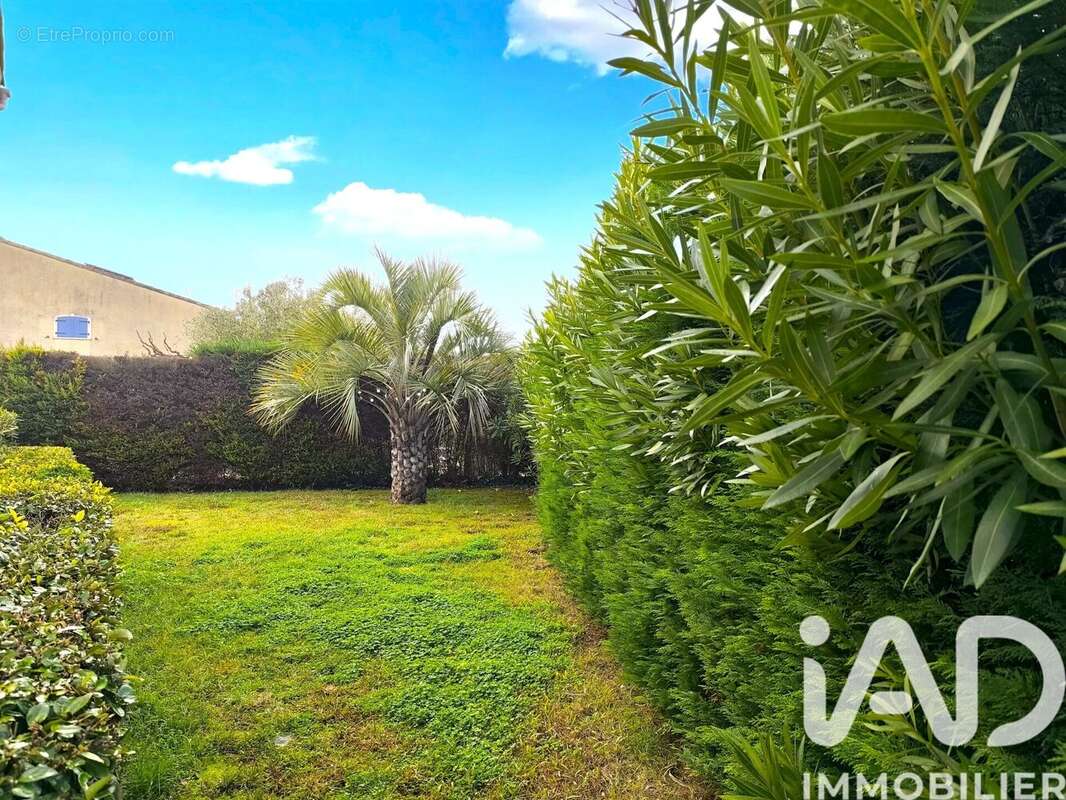 Photo 3 - Maison à VIDAUBAN