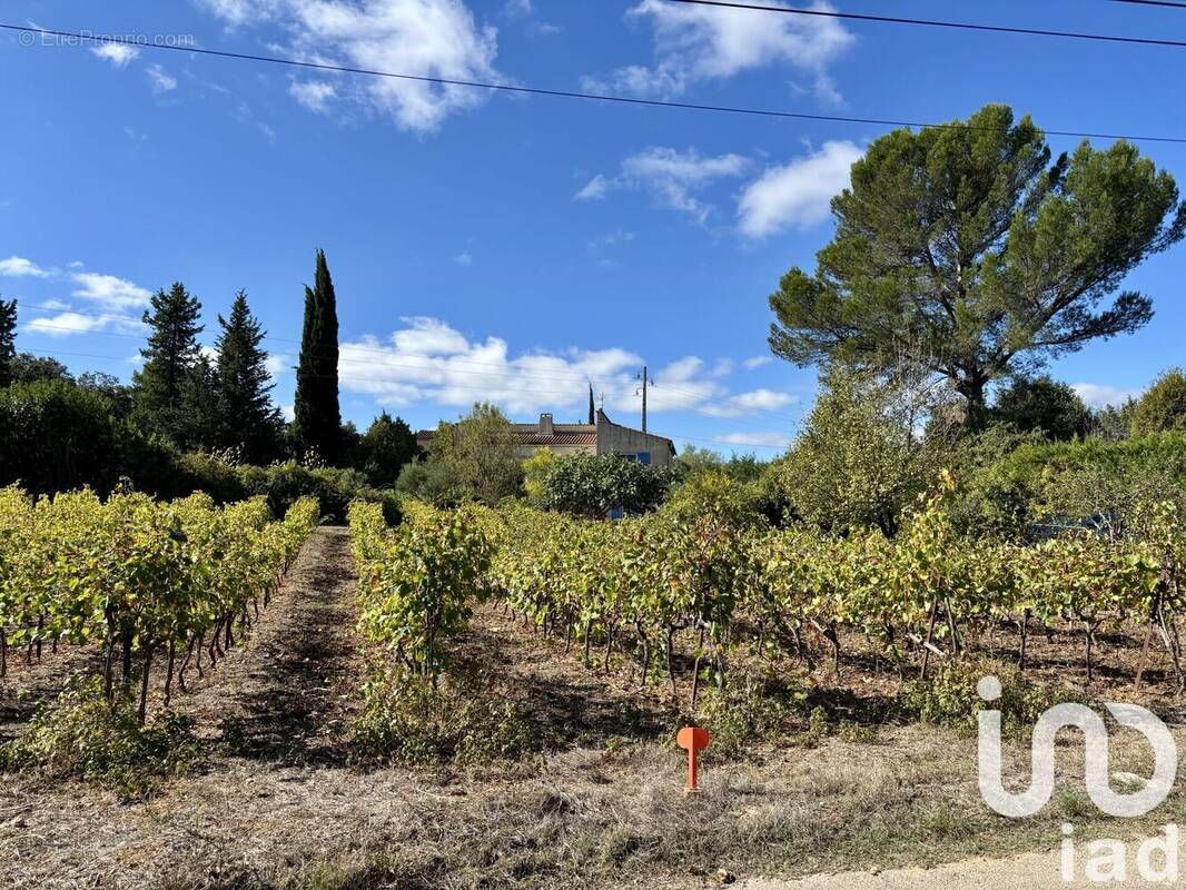 Photo 1 - Terrain à LORGUES