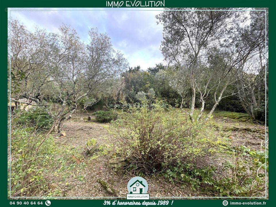 Terrain à PIOLENC