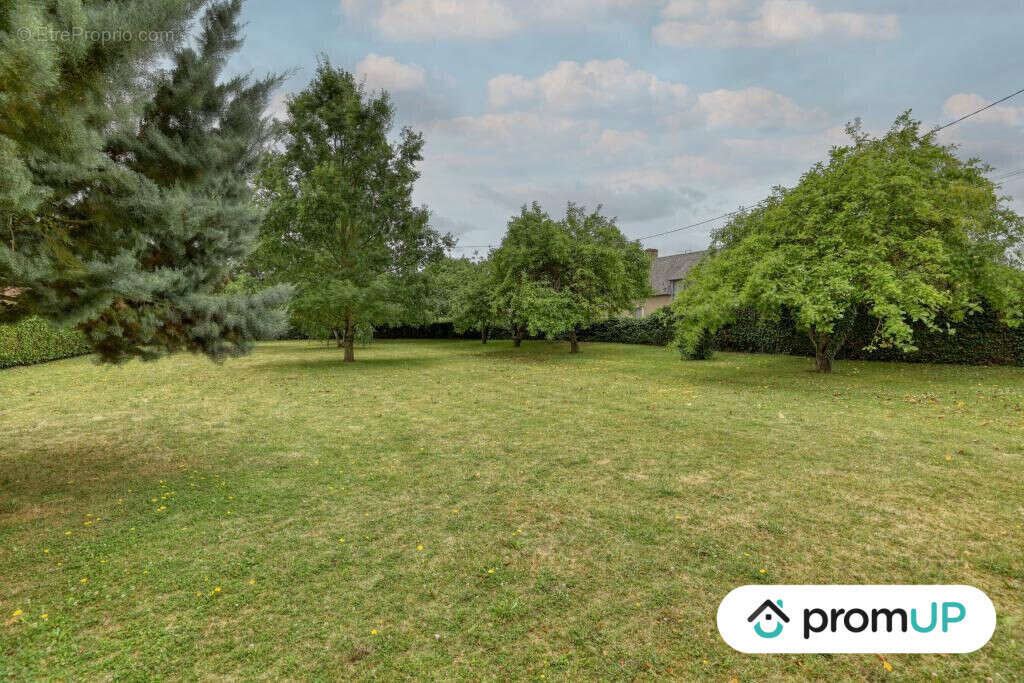 Terrain à OISON