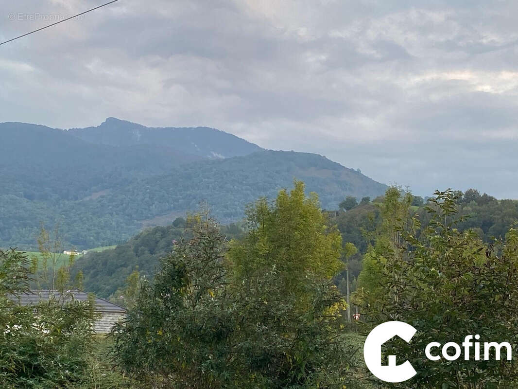 Terrain à MONTAUT