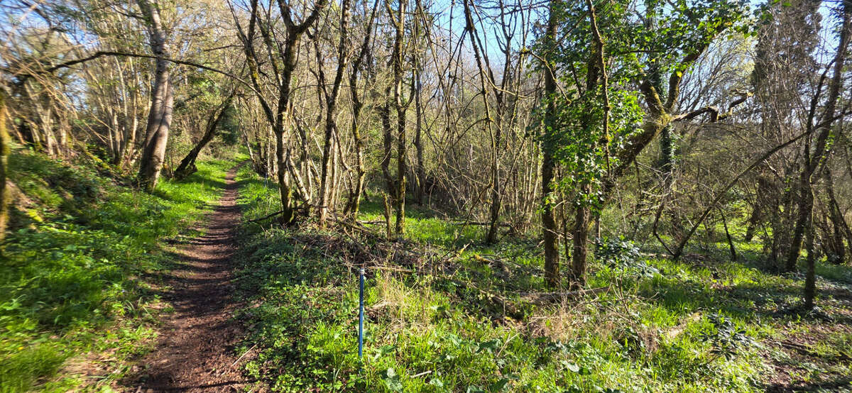 Terrain à ANGLES-SUR-L'ANGLIN