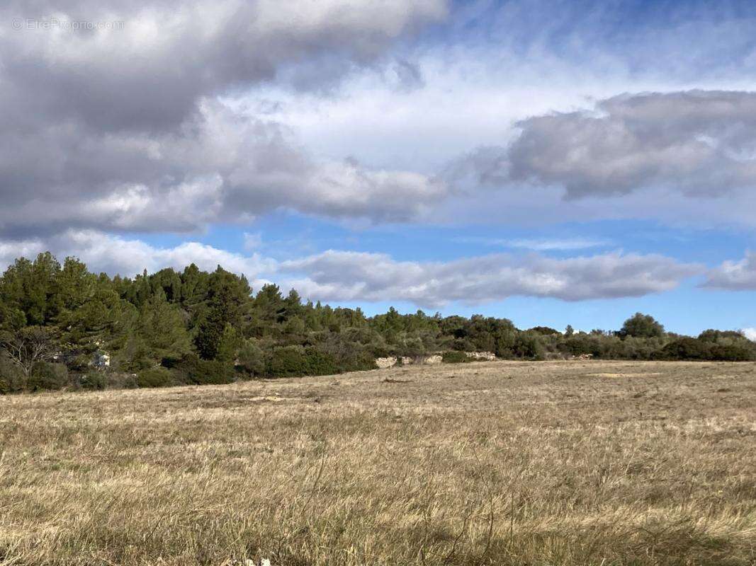 Terrain 362 m² à Portel-Des-Corbieres  - photo 2