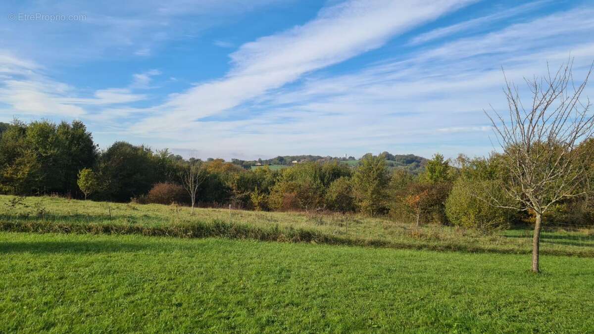 Maison à LADEVEZE-VILLE