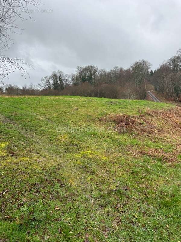 Maison à SAINT-SORNIN-LEULAC