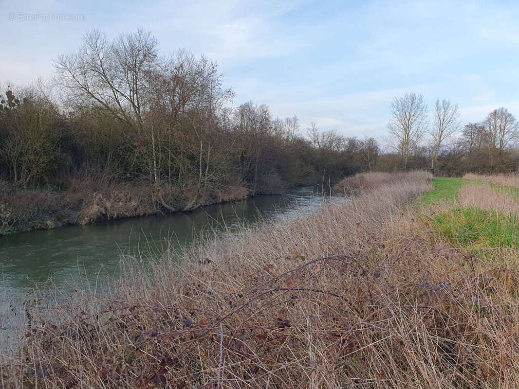 Hutte de Chasse Chatillon Sur Oise - photo 14