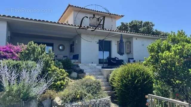 Belle Propriété belle vue Mer-Sainte-Lucie-de-Porto-Vecchio - photo 6