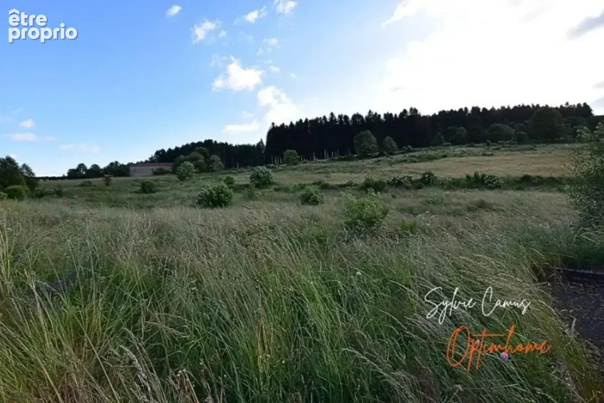 Terrain à bâtir – Vue dégagée – Cadre paisible – Proche commodités de 756 m² à DUNIERES (43) - photo 5