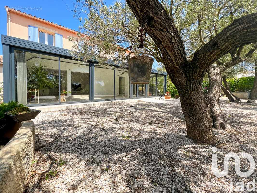 Photo 2 - Maison à SAINT-MARTIN-DE-CRAU