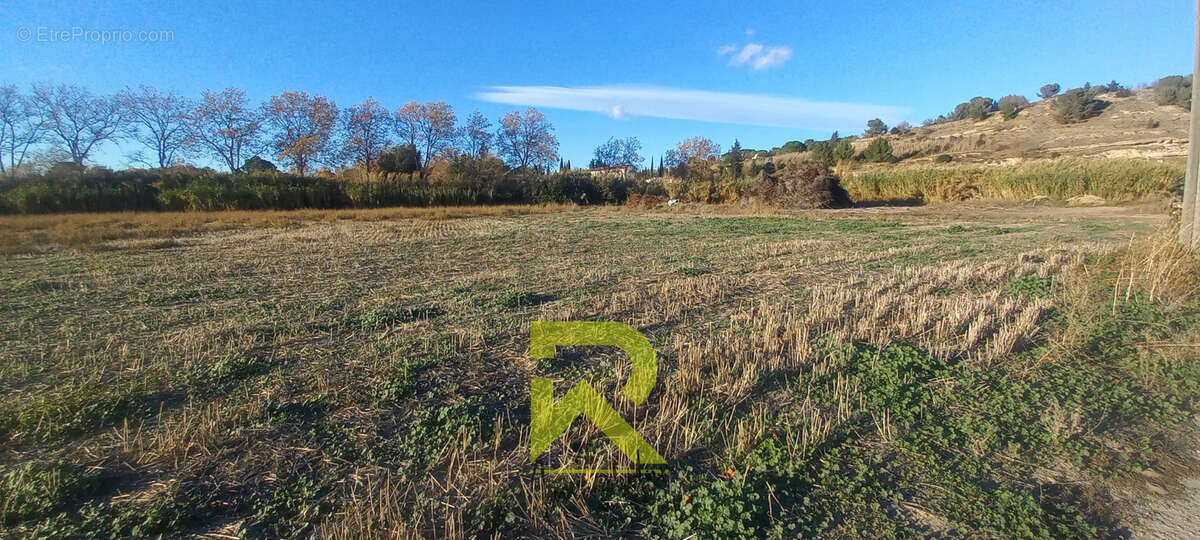 Terrain à MONTADY