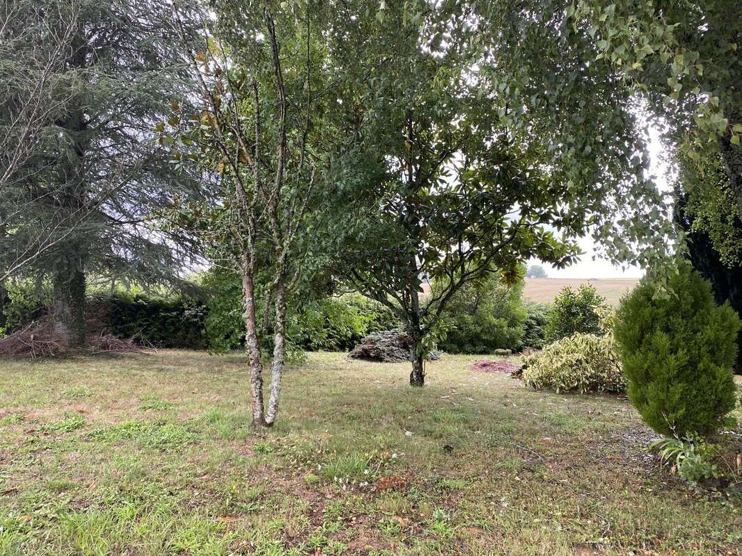 Maison à SAINT-VITTE-SUR-BRIANCE