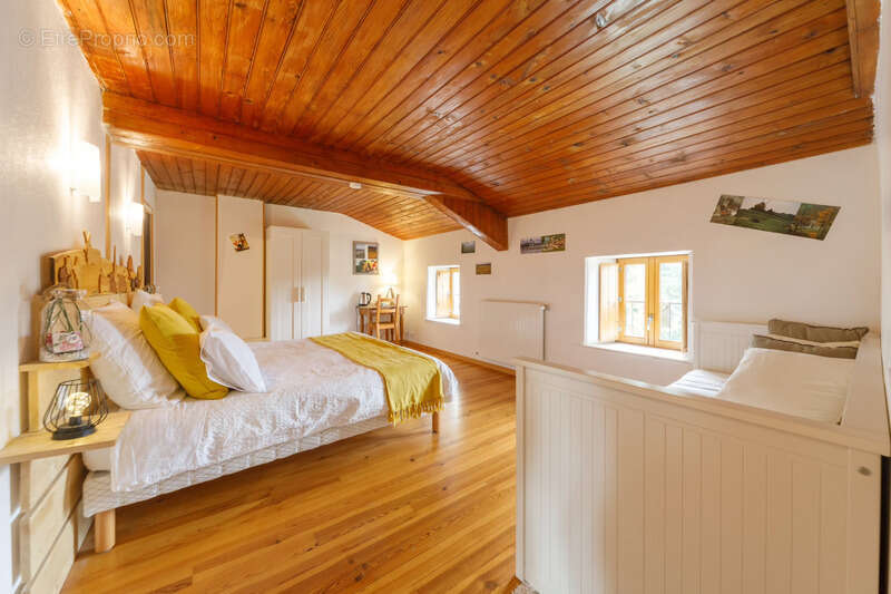  Maison de 310 m² avec gîte – 5 588 m² de terrain – Fraîcheur naturelle et revenus locatifs – Grandrif (63) - photo 6