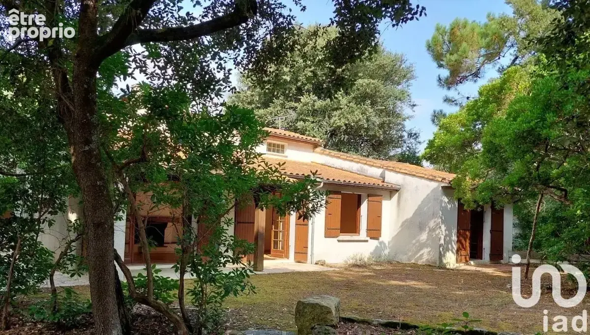 Photo 1 - Maison à MESCHERS-SUR-GIRONDE