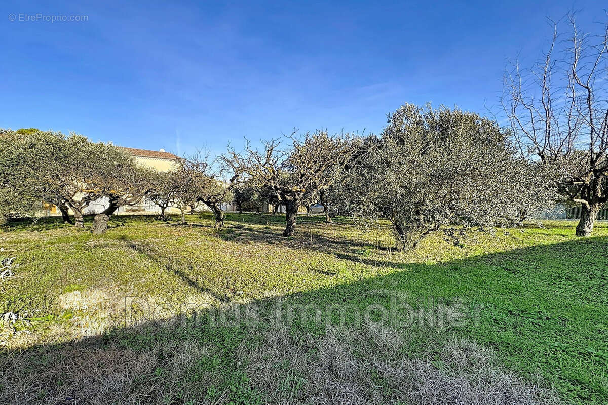 Maison à PERNES-LES-FONTAINES