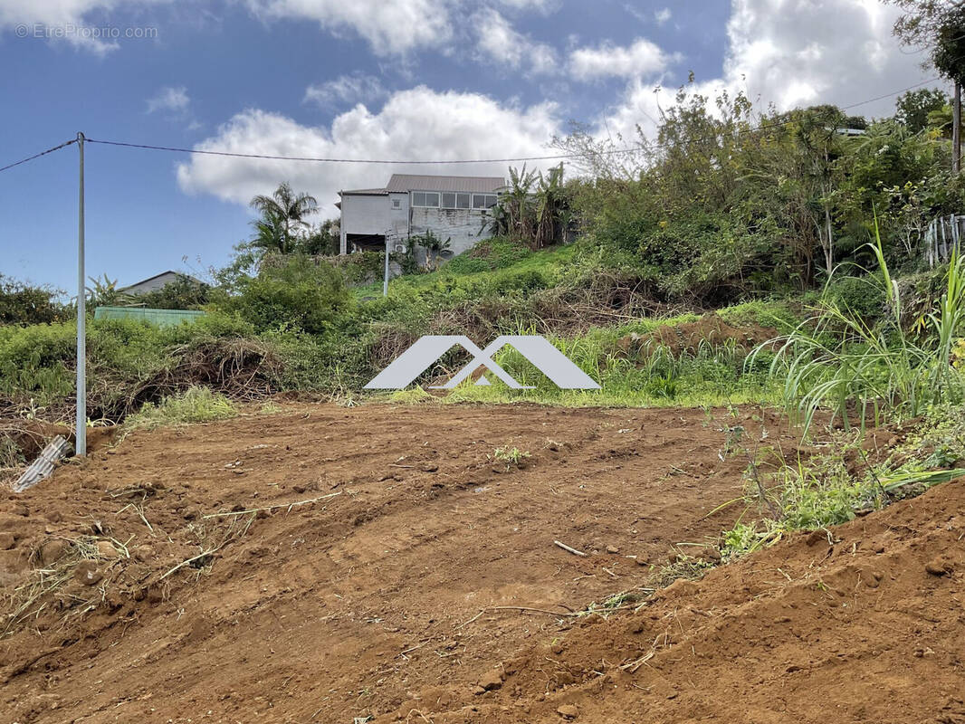 Terrain à SAINT-LEU