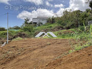 Terrain à SAINT-LEU