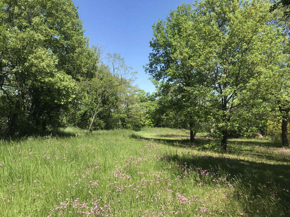 Terrain à MAURESSAC