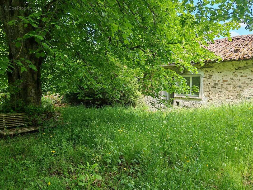 IMG20250506113657 - Maison à LIMOGES