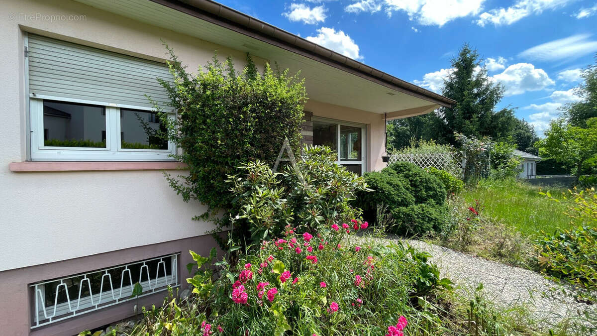 Maison à GOLBEY