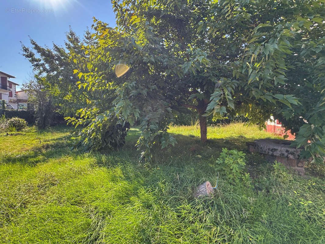 Maison à SAINT-JEAN-PIED-DE-PORT