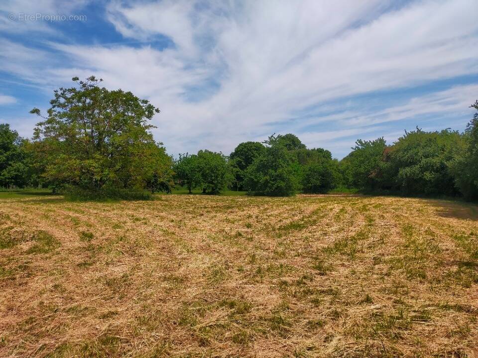 Terrain à SIREUIL