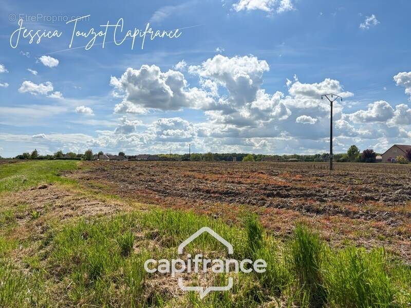 Terrain à SAINT-CHRISTOPHE-EN-BRESSE