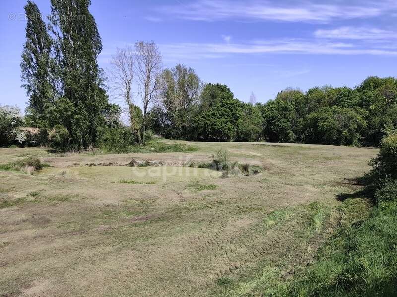 MARESCHE (72) à vendre longère 4 chambres sur 7300 m2 - photo 18