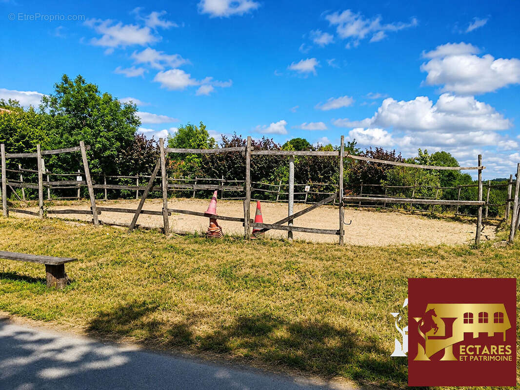 Fonds de commerce de centre équestre / poney-club à taille humaine - photo 4