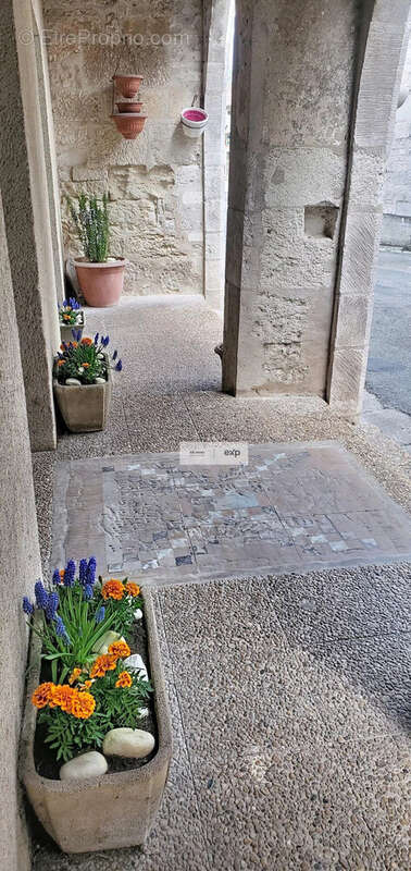 Commerce à PUYLAROQUE