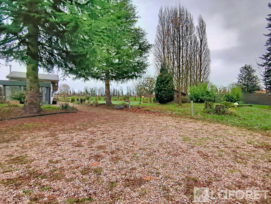 Maison à BEAUFOUR-DRUVAL