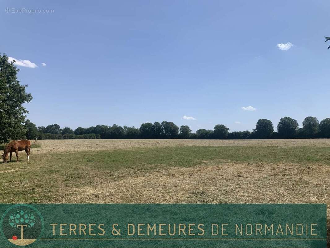 Dans le CALVADOS, région FALAISE, propriété agricole de 34 ha en herbage d'un seul tenant - photo 11
